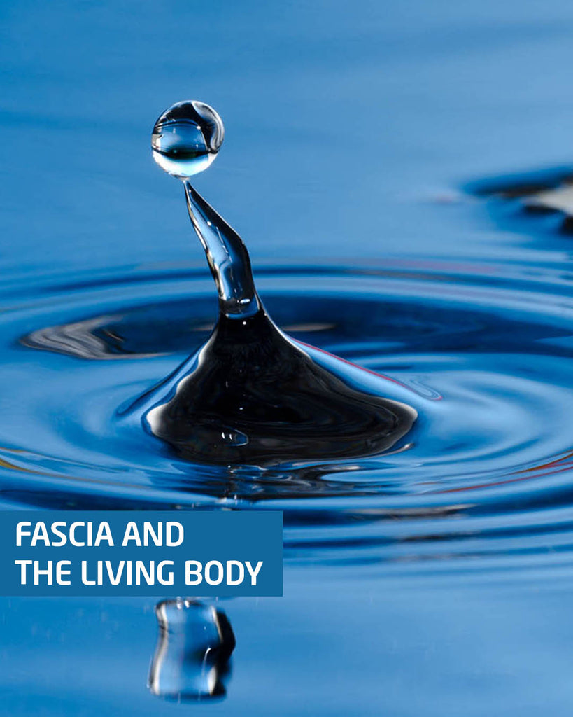 Fascia and the living body